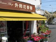 「とのおか花香園」　（静岡県下田市）の花屋店舗写真1