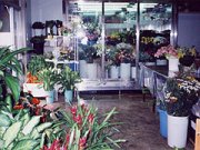 「とのおか花香園」　（静岡県下田市）の花屋店舗写真2